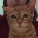sad_benson