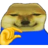 AUI_chotusa