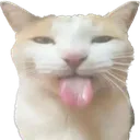 sillybleh