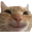 pspSmile pspSmile