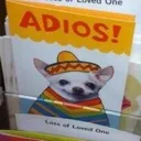 adios