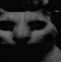 gatomierda