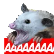AAAA