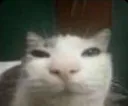 __
