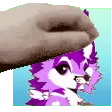 MarniePet3 MarniePet3