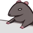 iridieSlam