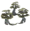 TREE TREE