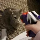 die