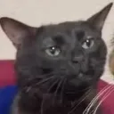 dyinginside