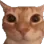 __