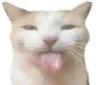 bleh