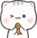 CatWink