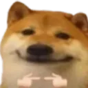 dogeshy