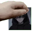 sharkiepat