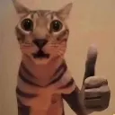 Cat Thumbsup cat_thumbsup Discord Emoji