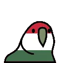 hungaryParrot