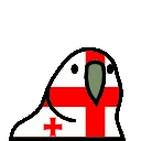 georgiaParrot