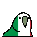 italyParrot