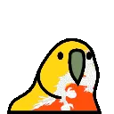 bhutanParrot
