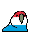 luxembourgParrot