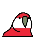 austriaParrot