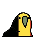 belgiumParrot
