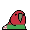 belarusParrot