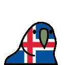 icelandParrot