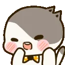heheCat heheCat