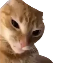 GatoTrinquete