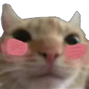 emoji_23