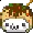 kitterTaco