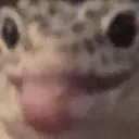 blehcko