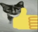 cool