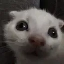 ctb_iseexemeverywhereicantscape