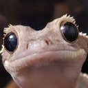 SLOMMED Discord emoji