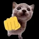 fistbump fistbump