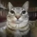 1000yardstare