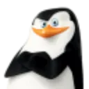 skipper