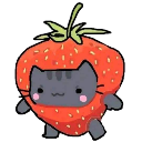 missjana Discord emoji