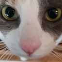 gotgames Discord emoji