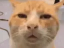 HUH
