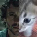 CatWill