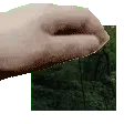 muonpat