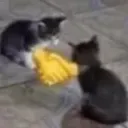 CatHandshake Discord Emoji