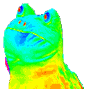 9981 What The Frog Discord Emoji