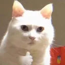 catpfpcattshirtscatstshirtcat05p Discord Emoji