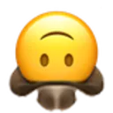 upside_down_cowboy
