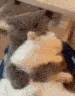 Warm_hug