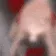 elivjam